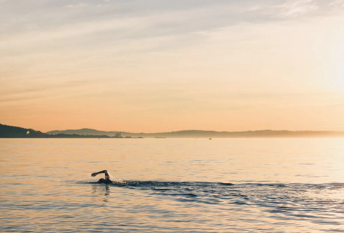 A lone swimmer doing freestyle in calm Puget Sound waters at golden hour, photographed at Golden Gardens in Seattle